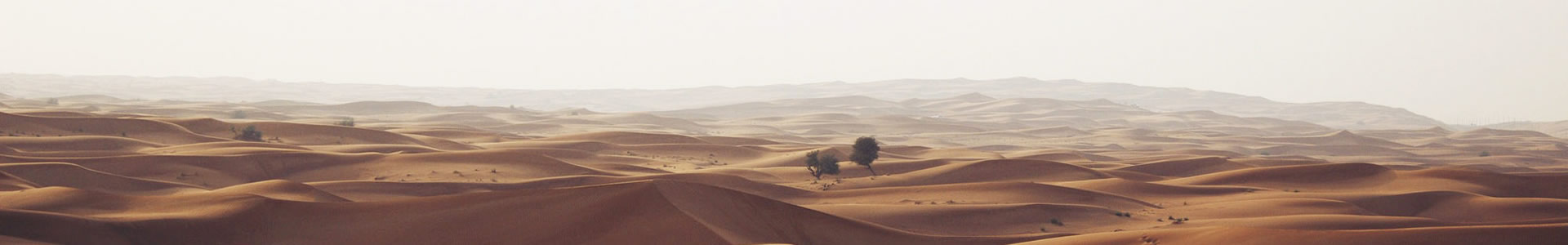ؼƼ޹˾